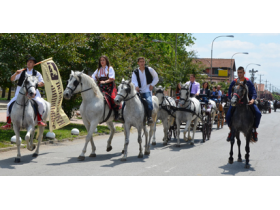 Pećinačka Fijakerijada